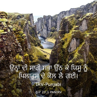 Picture 03 - ਲੂਕਾ 23:1 PANIRV - ਉਨ੍ਹਾਂ ਦੀ ਸਾਰੀ ਸਭਾ - Bible Verse Picture