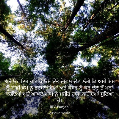 Picture 03 - ਲੂਕਾ 23:2 PANIRV - ਅਤੇ ਉਹ ਇਹ ਕਹਿ ਕੇ ਉਸ - Bible Verse Picture