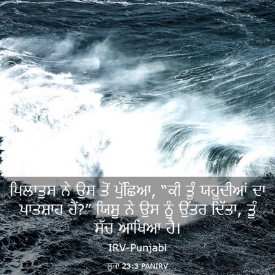 Picture 03 - ਲੂਕਾ 23:3 PANIRV - ਪਿਲਾਤੁਸ ਨੇ ਉਸ ਤੋਂ - Bible Verse Picture