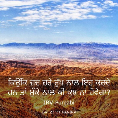 Picture 03 - ਲੂਕਾ 23:31 PANIRV - ਕਿਉਂਕਿ ਜਦ ਹਰੇ ਰੁੱਖ - Bible Verse Picture