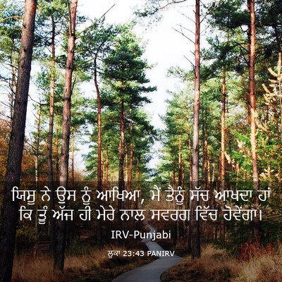 Picture 03 - ਲੂਕਾ 23:43 PANIRV - ਯਿਸੂ ਨੇ ਉਸ ਨੂੰ - Bible Verse Picture