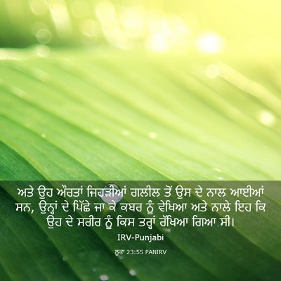 Picture 03 - ਲੂਕਾ 23:55 PANIRV - ਅਤੇ ਉਹ ਔਰਤਾਂ - Bible Verse Picture