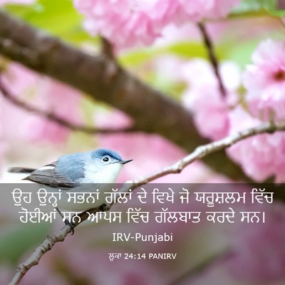 Picture 03 - ਲੂਕਾ 24:14 PANIRV - ਉਹ ਉਨ੍ਹਾਂ ਸਭਨਾਂ - Bible Verse Picture