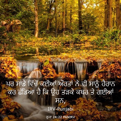 Picture 03 - ਲੂਕਾ 24:22 PANIRV - ਪਰ ਸਾਡੇ ਵਿੱਚੋਂ - Bible Verse Picture