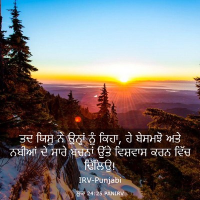 Picture 03 - ਲੂਕਾ 24:25 PANIRV - ਤਦ ਯਿਸੂ ਨੇ ਉਨ੍ਹਾਂ - Bible Verse Picture