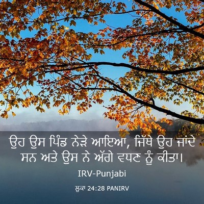 Picture 03 - ਲੂਕਾ 24:28 PANIRV - ਉਹ ਉਸ ਪਿੰਡ ਨੇੜੇ - Bible Verse Picture