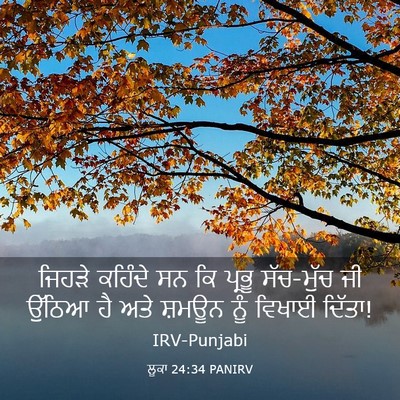 Picture 03 - ਲੂਕਾ 24:34 PANIRV - ਜਿਹੜੇ ਕਹਿੰਦੇ ਸਨ ਕਿ - Bible Verse Picture