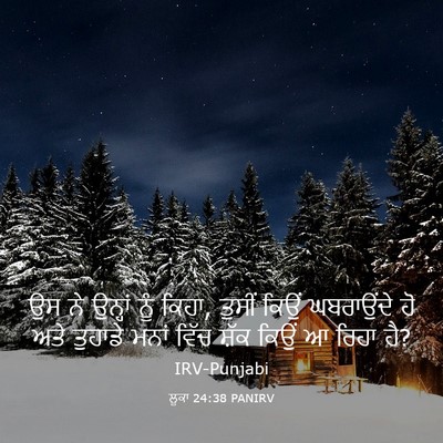 Picture 03 - ਲੂਕਾ 24:38 PANIRV - ਉਸ ਨੇ ਉਨ੍ਹਾਂ ਨੂੰ - Bible Verse Picture
