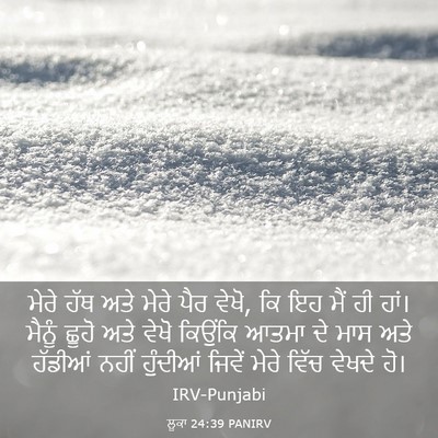Picture 03 - ਲੂਕਾ 24:39 PANIRV - ਮੇਰੇ ਹੱਥ ਅਤੇ ਮੇਰੇ - Bible Verse Picture