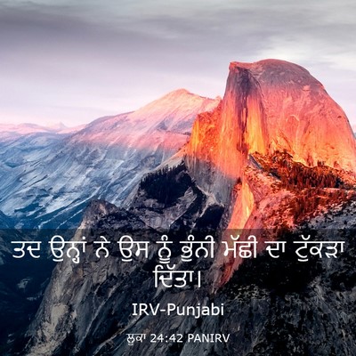 Picture 03 - ਲੂਕਾ 24:42 PANIRV - ਤਦ ਉਨ੍ਹਾਂ ਨੇ ਉਸ ਨੂੰ - Bible Verse Picture
