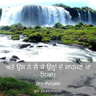 Picture 03 - ਲੂਕਾ 24:43 PANIRV - ਅਤੇ ਉਸ ਨੇ ਲੈ ਕੇ - Bible Verse Picture