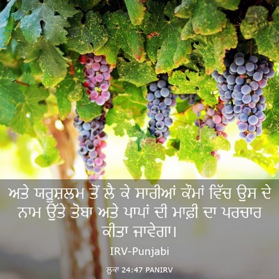 Picture 03 - ਲੂਕਾ 24:47 PANIRV - ਅਤੇ ਯਰੂਸ਼ਲਮ ਤੋਂ ਲੈ - Bible Verse Picture