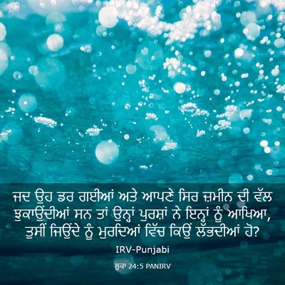 Picture 03 - ਲੂਕਾ 24:5 PANIRV - ਜਦ ਉਹ ਡਰ ਗਈਆਂ ਅਤੇ - Bible Verse Picture