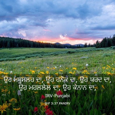 Picture 03 - ਲੂਕਾ 3:37 PANIRV - ਉਹ ਮਥੂਸਲਹ ਦਾ, ਉਹ - Bible Verse Picture