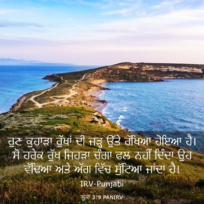 Picture 03 - ਲੂਕਾ 3:9 PANIRV - ਹੁਣ ਕੁਹਾੜਾ ਰੁੱਖਾਂ - Bible Verse Picture