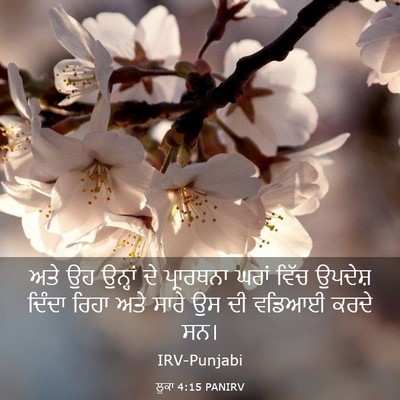 Picture 03 - ਲੂਕਾ 4:15 PANIRV - ਅਤੇ ਉਹ ਉਨ੍ਹਾਂ ਦੇ - Bible Verse Picture