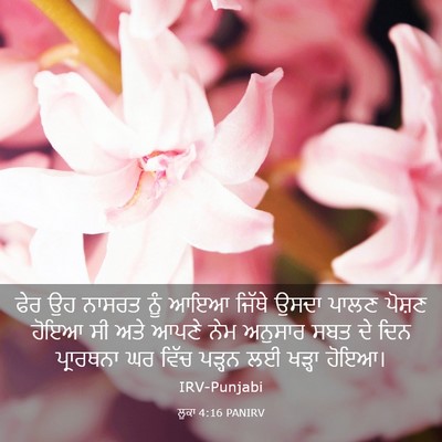 Picture 03 - ਲੂਕਾ 4:16 PANIRV - ਫੇਰ ਉਹ ਨਾਸਰਤ ਨੂੰ - Bible Verse Picture