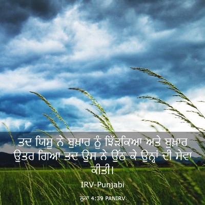Picture 03 - ਲੂਕਾ 4:39 PANIRV - ਤਦ ਯਿਸੂ ਨੇ ਬੁਖ਼ਾਰ - Bible Verse Picture