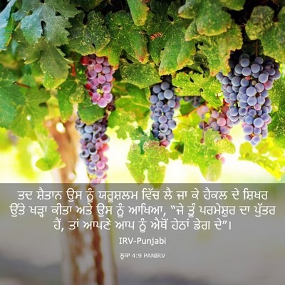 Picture 03 - ਲੂਕਾ 4:9 PANIRV - ਤਦ ਸ਼ੈਤਾਨ ਉਸ ਨੂੰ - Bible Verse Picture