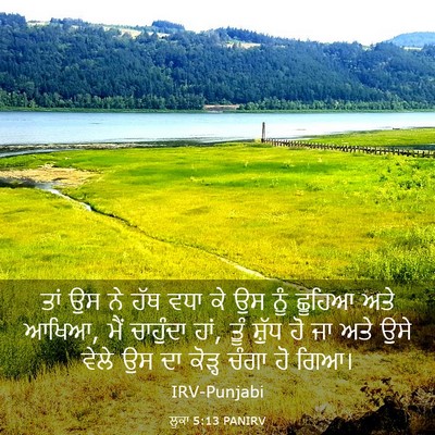 Picture 03 - ਲੂਕਾ 5:13 PANIRV - ਤਾਂ ਉਸ ਨੇ ਹੱਥ ਵਧਾ - Bible Verse Picture