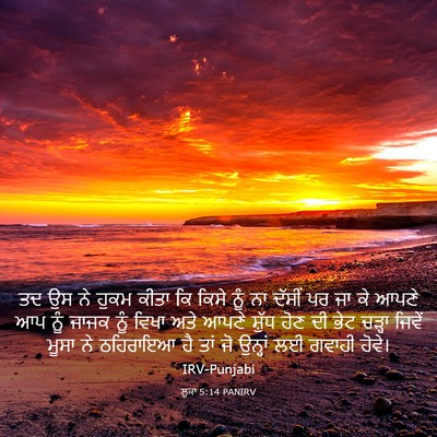 Picture 03 - ਲੂਕਾ 5:14 PANIRV - ਤਦ ਉਸ ਨੇ ਹੁਕਮ ਕੀਤਾ - Bible Verse Picture