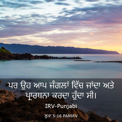 Picture 03 - ਲੂਕਾ 5:16 PANIRV - ਪਰ ਉਹ ਆਪ ਜੰਗਲਾਂ - Bible Verse Picture