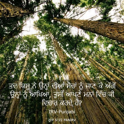 Picture 03 - ਲੂਕਾ 5:22 PANIRV - ਤਦ ਯਿਸੂ ਨੇ ਉਨ੍ਹਾਂ - Bible Verse Picture