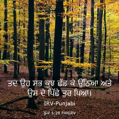 Picture 03 - ਲੂਕਾ 5:28 PANIRV - ਤਦ ਉਹ ਸਭ ਕੁਝ ਛੱਡ ਕੇ - Bible Verse Picture