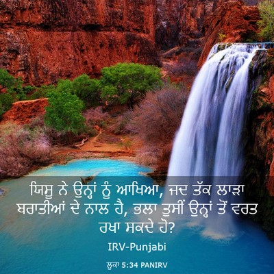Picture 03 - ਲੂਕਾ 5:34 PANIRV - ਯਿਸੂ ਨੇ ਉਨ੍ਹਾਂ ਨੂੰ - Bible Verse Picture