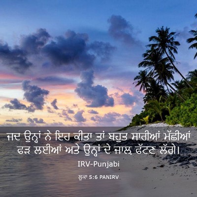 Picture 03 - ਲੂਕਾ 5:6 PANIRV - ਜਦ ਉਨ੍ਹਾਂ ਨੇ ਇਹ - Bible Verse Picture