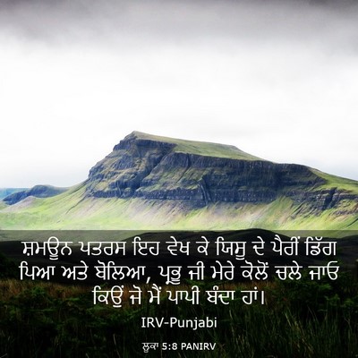 Picture 03 - ਲੂਕਾ 5:8 PANIRV - ਸ਼ਮਊਨ ਪਤਰਸ ਇਹ ਵੇਖ - Bible Verse Picture