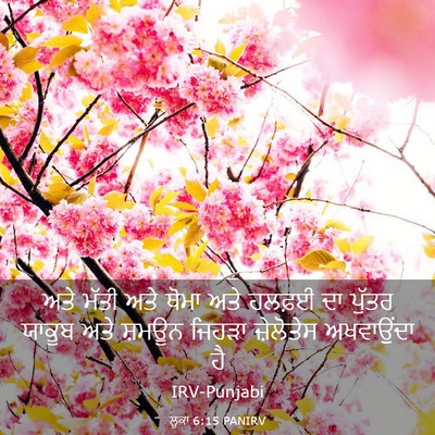 Picture 03 - ਲੂਕਾ 6:15 PANIRV - ਅਤੇ ਮੱਤੀ ਅਤੇ ਥੋਮਾ - Bible Verse Picture