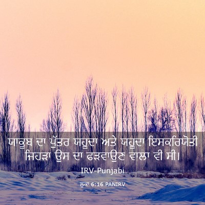 Picture 03 - ਲੂਕਾ 6:16 PANIRV - ਯਾਕੂਬ ਦਾ ਪੁੱਤਰ - Bible Verse Picture
