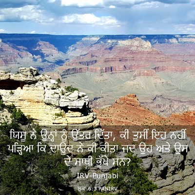 Picture 03 - ਲੂਕਾ 6:3 PANIRV - ਯਿਸੂ ਨੇ ਉਨ੍ਹਾਂ ਨੂੰ - Bible Verse Picture