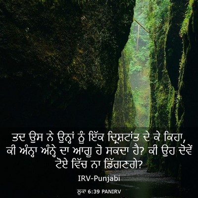 Picture 03 - ਲੂਕਾ 6:39 PANIRV - ਤਦ ਉਸ ਨੇ ਉਨ੍ਹਾਂ ਨੂੰ - Bible Verse Picture