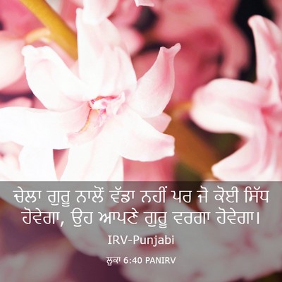 Picture 03 - ਲੂਕਾ 6:40 PANIRV - ਚੇਲਾ ਗੁਰੂ ਨਾਲੋਂ - Bible Verse Picture