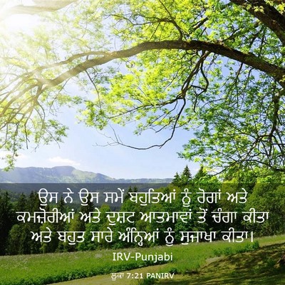 Picture 03 - ਲੂਕਾ 7:21 PANIRV - ਉਸ ਨੇ ਉਸ ਸਮੇਂ - Bible Verse Picture