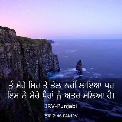 Picture 03 - ਲੂਕਾ 7:46 PANIRV - ਤੂੰ ਮੇਰੇ ਸਿਰ ਤੇ ਤੇਲ - Bible Verse Picture