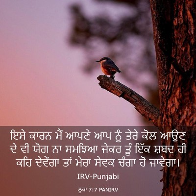 Picture 03 - ਲੂਕਾ 7:7 PANIRV - ਇਸੇ ਕਾਰਨ ਮੈਂ ਆਪਣੇ - Bible Verse Picture