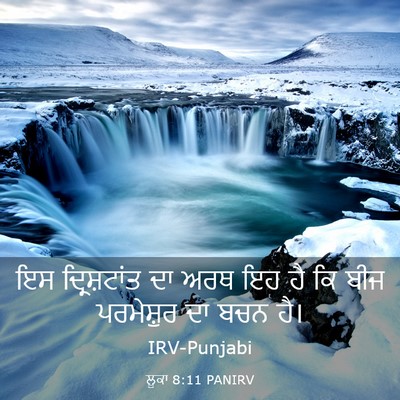 Picture 03 - ਲੂਕਾ 8:11 PANIRV - ਇਸ ਦ੍ਰਿਸ਼ਟਾਂਤ ਦਾ - Bible Verse Picture
