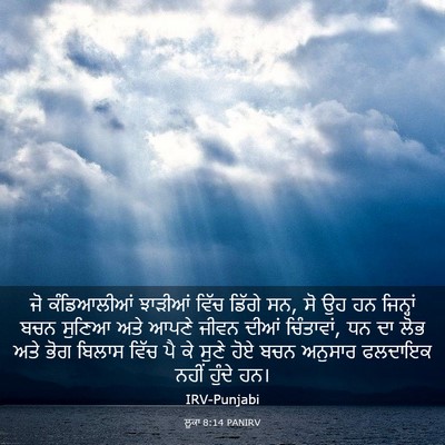 Picture 03 - ਲੂਕਾ 8:14 PANIRV - ਜੋ ਕੰਡਿਆਲੀਆਂ - Bible Verse Picture