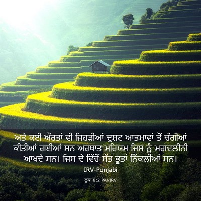 Picture 03 - ਲੂਕਾ 8:2 PANIRV - ਅਤੇ ਕਈ ਔਰਤਾਂ ਵੀ - Bible Verse Picture