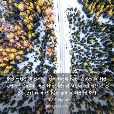 Picture 03 - ਲੂਕਾ 8:33 PANIRV - ਅਤੇ ਦੁਸ਼ਟ ਆਤਮਾਵਾਂ - Bible Verse Picture
