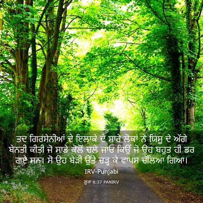 Picture 03 - ਲੂਕਾ 8:37 PANIRV - ਤਦ ਗਿਰਸੇਨੀਆਂ ਦੇ - Bible Verse Picture