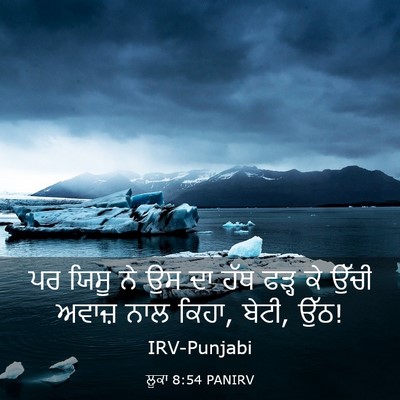 Picture 03 - ਲੂਕਾ 8:54 PANIRV - ਪਰ ਯਿਸੂ ਨੇ ਉਸ ਦਾ - Bible Verse Picture