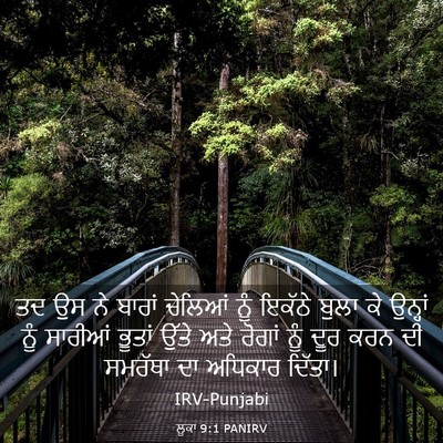 Picture 03 - ਲੂਕਾ 9:1 PANIRV - ਤਦ ਉਸ ਨੇ ਬਾਰਾਂ - Bible Verse Picture