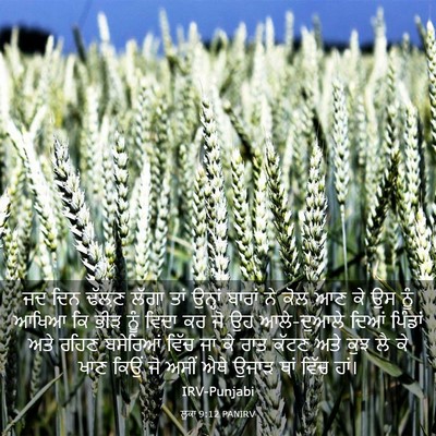 Picture 03 - ਲੂਕਾ 9:12 PANIRV - ਜਦ ਦਿਨ ਢੱਲ਼ਣ ਲੱਗਾ - Bible Verse Picture