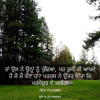 Picture 03 - ਲੂਕਾ 9:20 PANIRV - ਤਾਂ ਉਸ ਨੇ ਉਨ੍ਹਾਂ - Bible Verse Picture