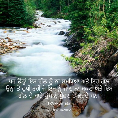 Picture 03 - ਲੂਕਾ 9:45 PANIRV - ਪਰ ਉਨ੍ਹਾਂ ਇਸ ਗੱਲ - Bible Verse Picture
