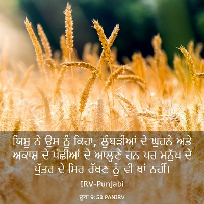 Picture 03 - ਲੂਕਾ 9:58 PANIRV - ਯਿਸੂ ਨੇ ਉਸ ਨੂੰ - Bible Verse Picture